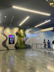 The Heart (D1), Retail #511685231